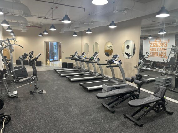 carolinadunesksa img 2